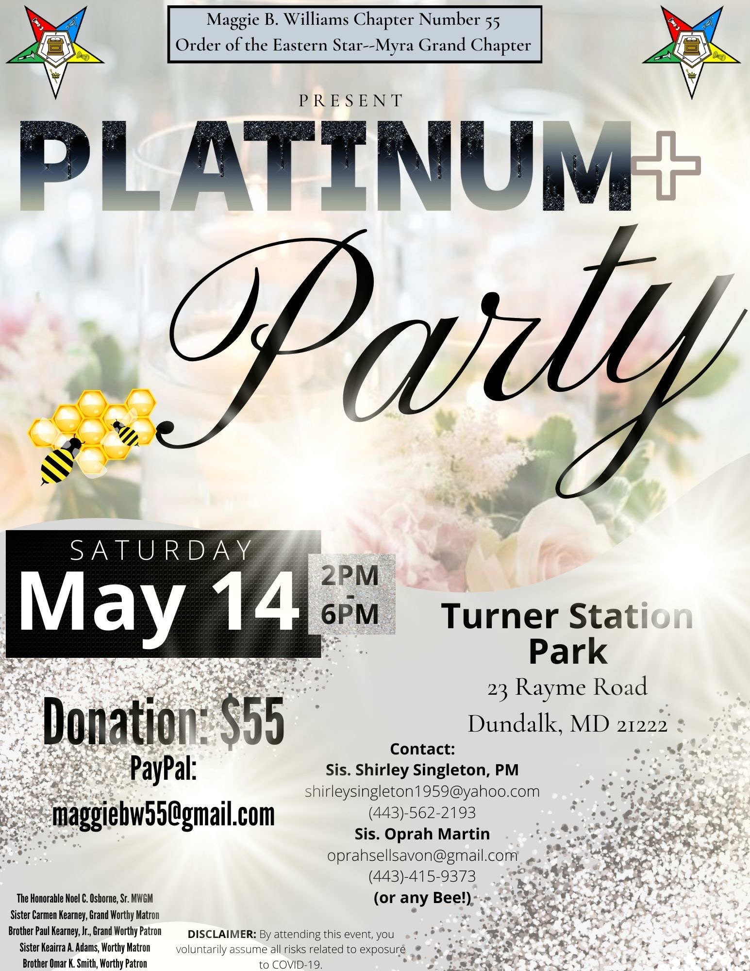Platinum Party Flyer